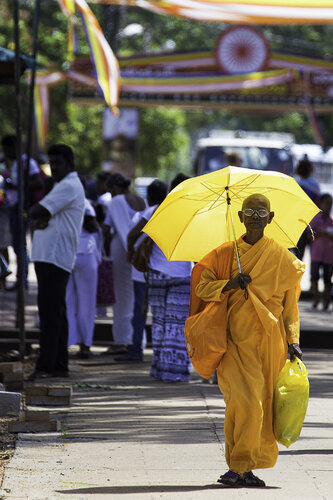 The yellow bonze di Olivier Schram, Fotografia in vendita su Singulart