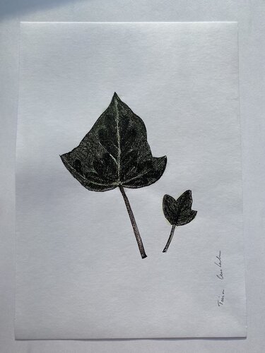 Lucky leaf von Triin Uustalu, Zeichnungen kaufen auf Singulart