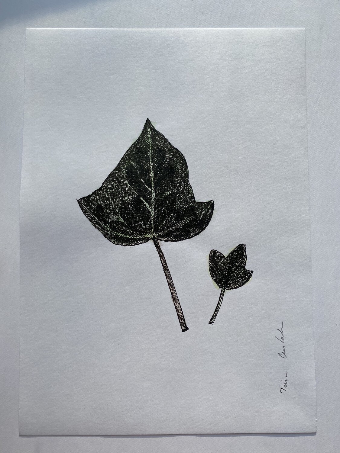 Lucky leaf Triin Uustalu
