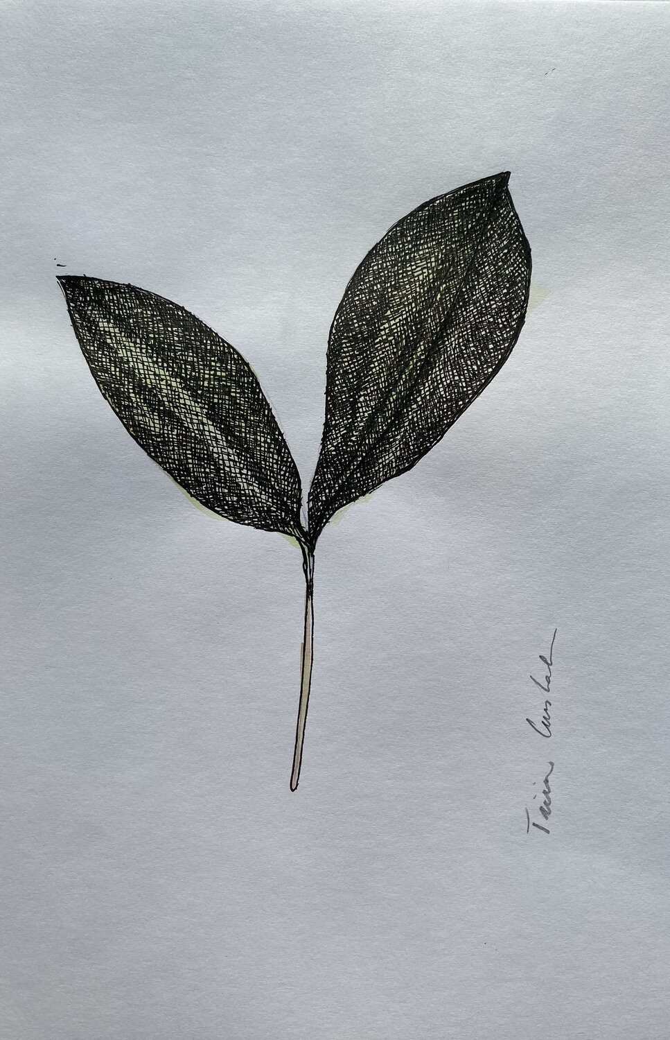 Lily of the Valley Triin Uustalu