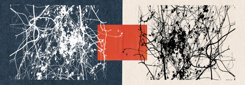 Plant 01 by FUMIO YAMAGUCHI, Print for Sale on Singulart