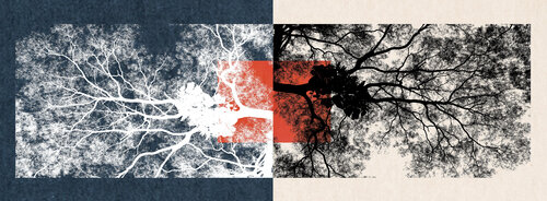 Paris 03 von FUMIO YAMAGUCHI, Druck kaufen auf Singulart