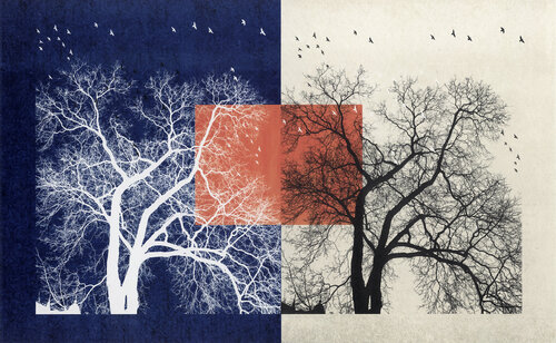 Tre 001 by FUMIO YAMAGUCHI, Print for Sale on Singulart