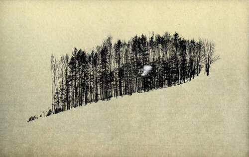 Tree 002 von FUMIO YAMAGUCHI, Druck kaufen auf Singulart