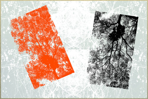 Plant 11 by FUMIO YAMAGUCHI, Digital for Sale on Singulart
