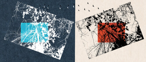 Plant 12 de FUMIO YAMAGUCHI, Digital a la venta en Singulart