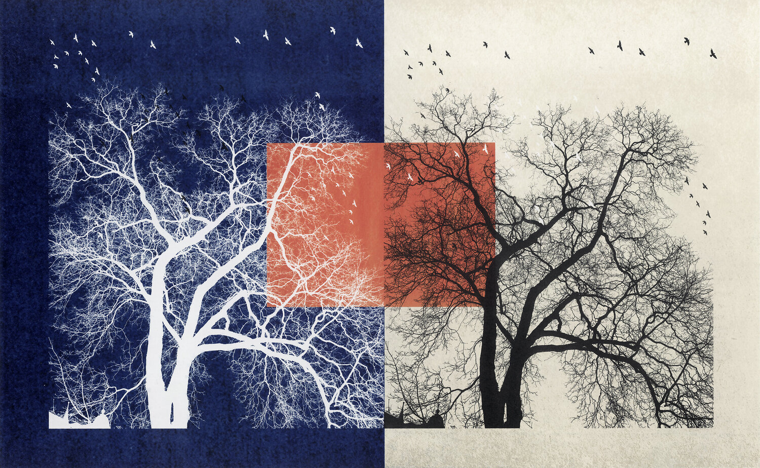 Tre 001 FUMIO YAMAGUCHI