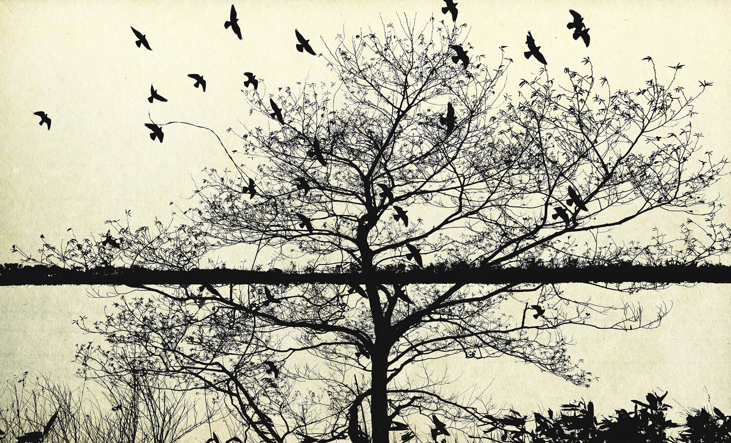 Tree 04 FUMIO YAMAGUCHI