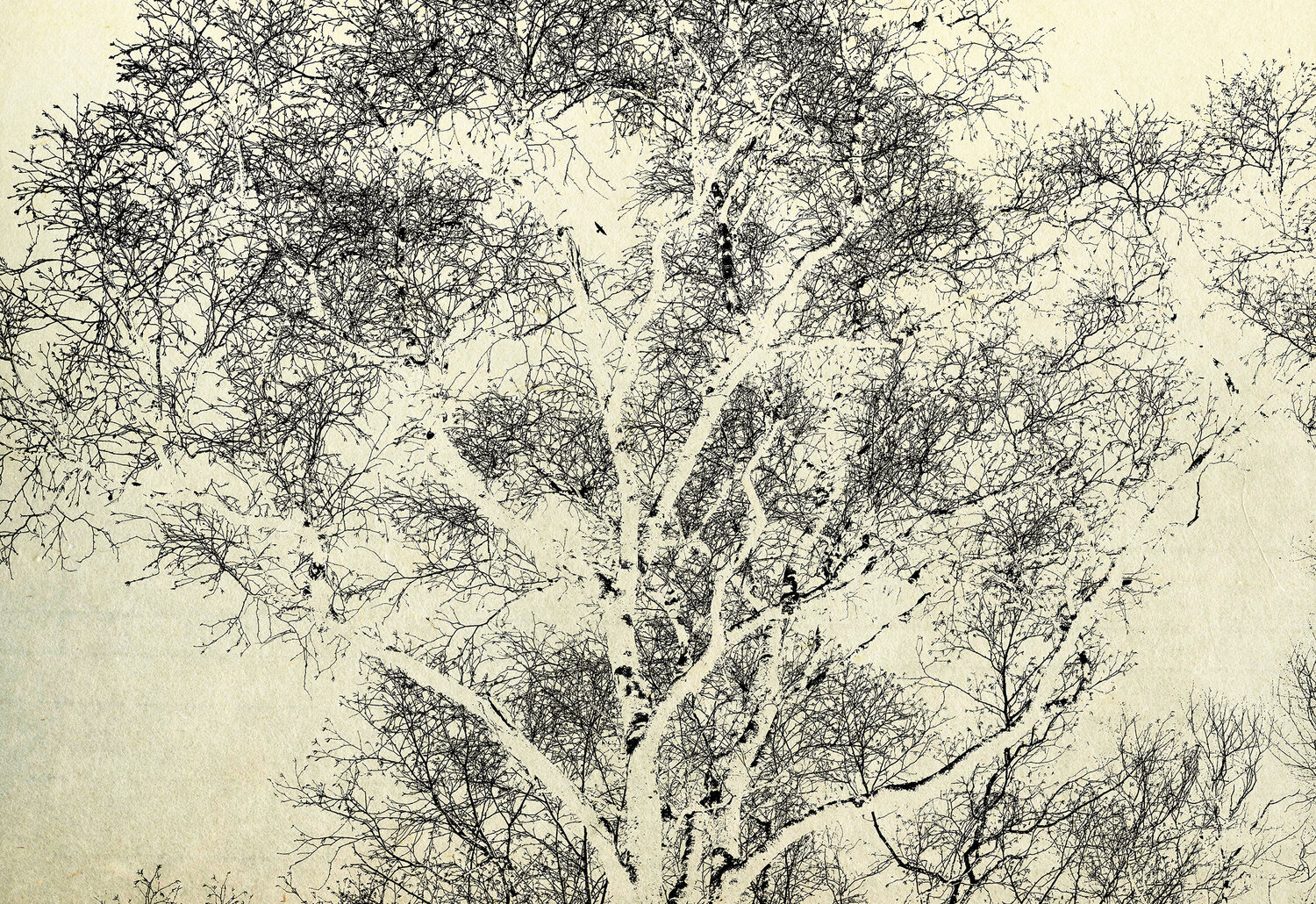 Tree 06 FUMIO YAMAGUCHI