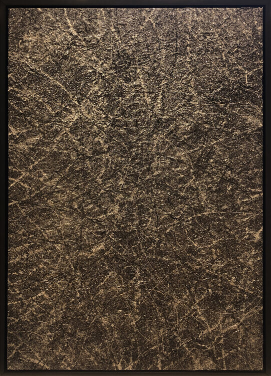 Colorway - Silver Black Peter W. Hart