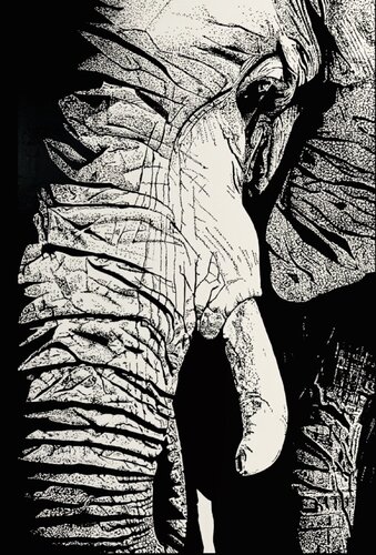 Look at me #5 by Fabrice RIZZO "Forza", 기타 매체 for Sale on Singulart