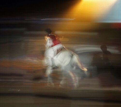 Shadow & Limelight von Danny Johananoff, Digital kaufen auf Singulart