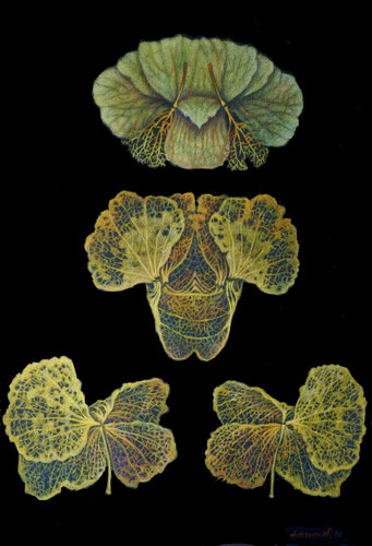 Eden-south garden di Antoni Kowalski, Opera su carta in vendita su Singulart