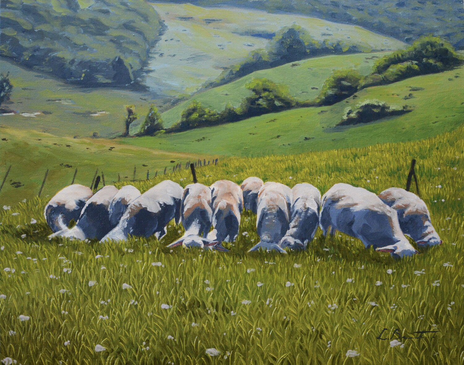 Febrero en las Highlands Laura Benedito Bernat