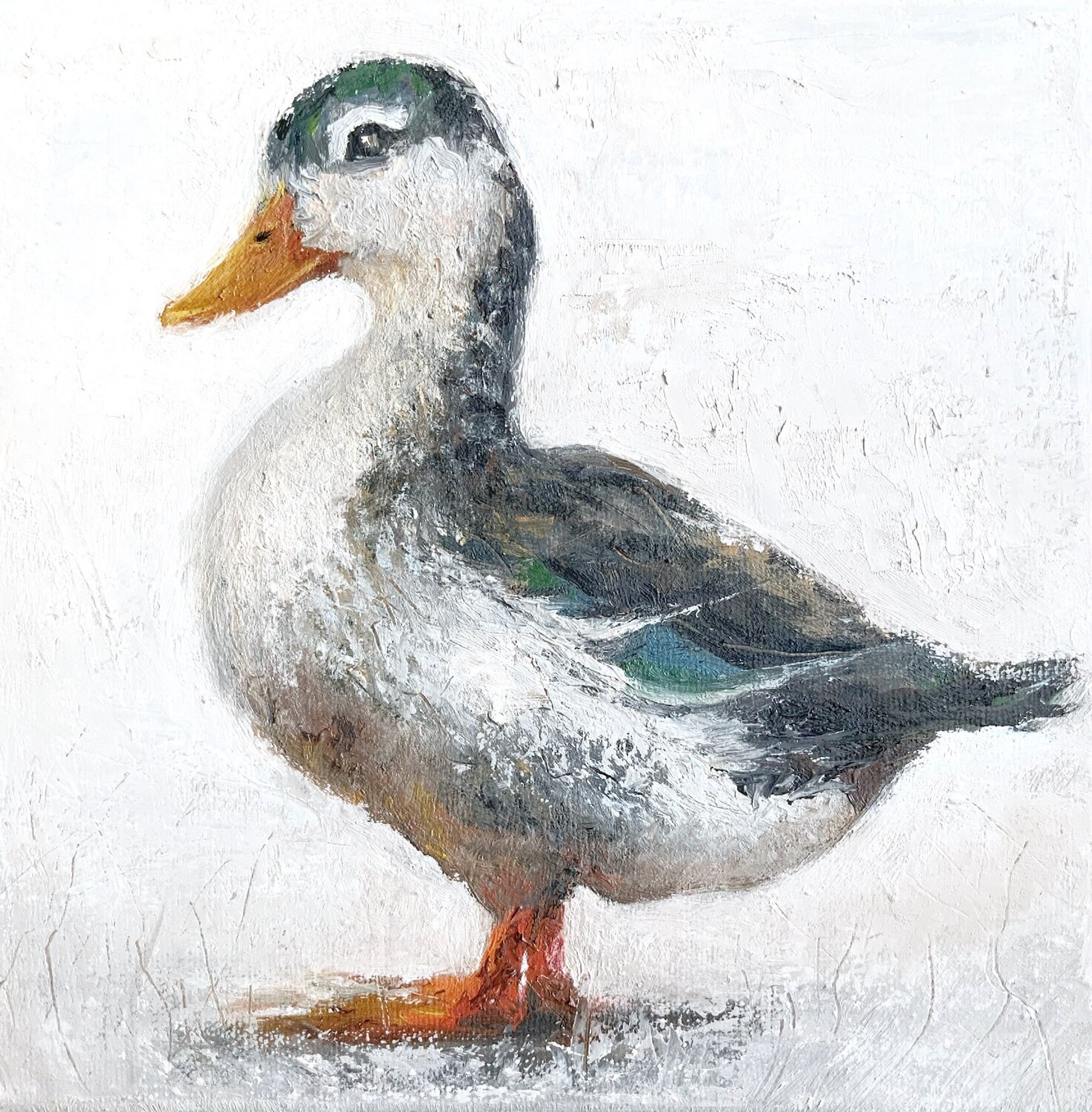 Mallard Duck Alena Post