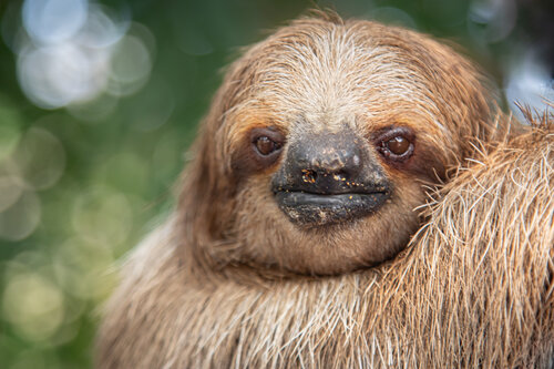 Hanging Around by Heather Hollis, Photography for Sale on Singulart