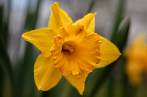 Hope Is Here by Heather Hollis, Photography for Sale on Singulart