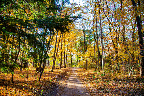 The Path Heather Hollis