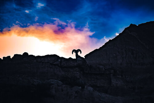 King Of The Badlands von Heather Hollis, Fotografie kaufen auf Singulart