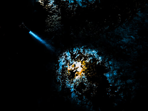 A Single Beam Heather Hollis