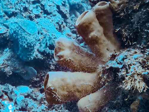 Pick One. Any One. van Heather Hollis, Fotografie te koop op Singulart
