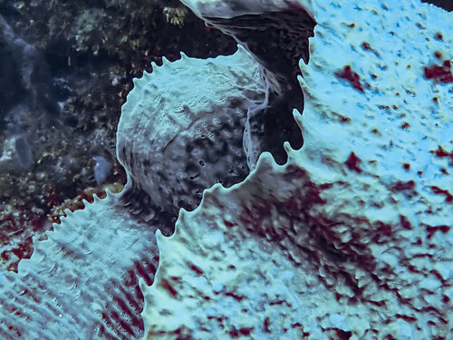 Seeking Out Memories Heather Hollis