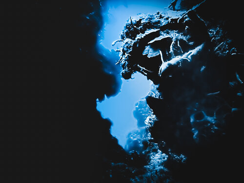 What Lies Beneath The Darkness Heather Hollis