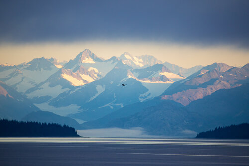 Flying High Heather Hollis