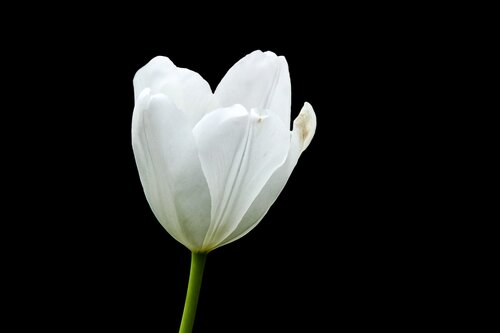 A Light In The Dark di Heather Hollis, Fotografia in vendita su Singulart