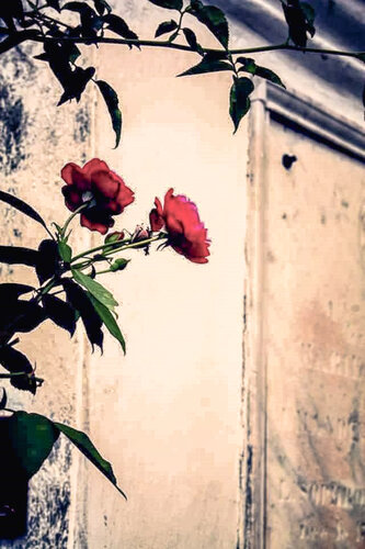 Glimpse Of The Past di Heather Hollis, Fotografia in vendita su Singulart