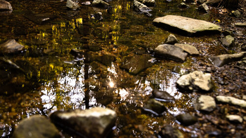 Looking Glass von Heather Hollis, Fotografie kaufen auf Singulart