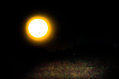 Blinding Light Heather Hollis
