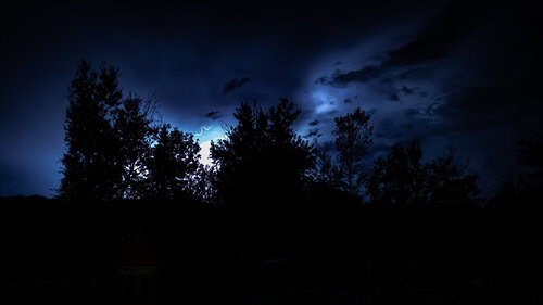 Electric Blue par Heather Hollis, Photographie en vente sur Singulart