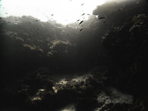 Into The Unknown di Heather Hollis, Fotografia in vendita su Singulart