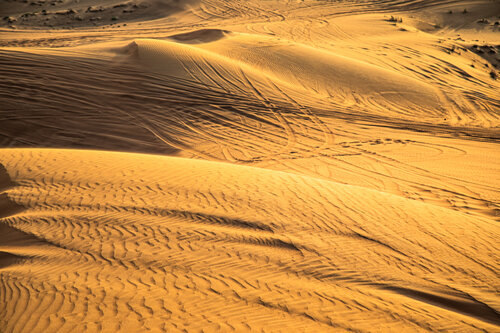 Golden Dunes Heather Hollis