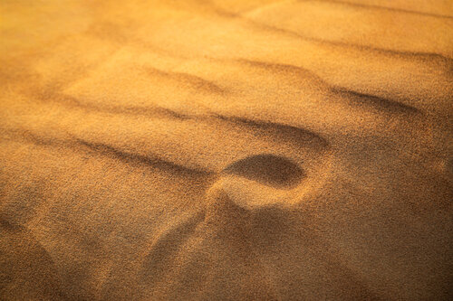 Deserted Heather Hollis