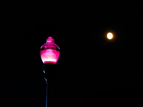 Pink Destiny di Heather Hollis, Fotografia in vendita su Singulart