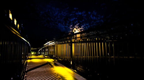 Midnight Stroll by Heather Hollis, Photography for Sale on Singulart