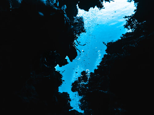 Look Up di Heather Hollis, Fotografia in vendita su Singulart