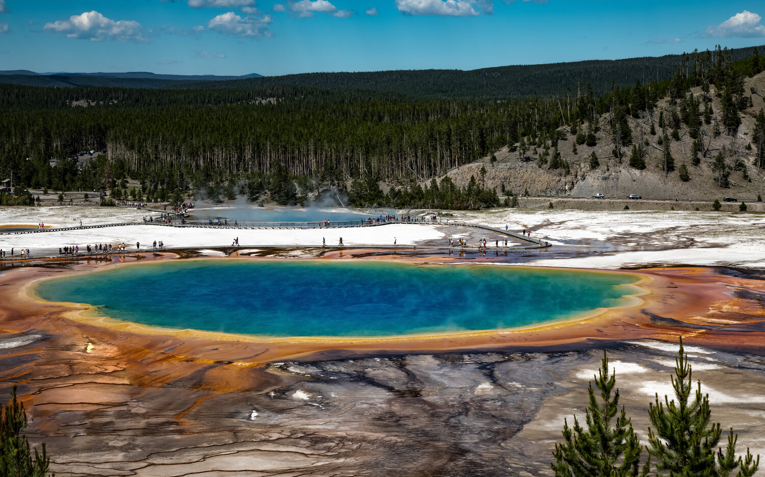 The Grand Prismatic Spring inside Yellowstone National Park Heather Hollis Fotografie zu verkaufen