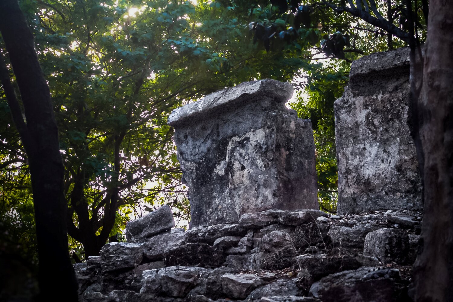 Ruins Of A Civilization, Lost Heather Hollis