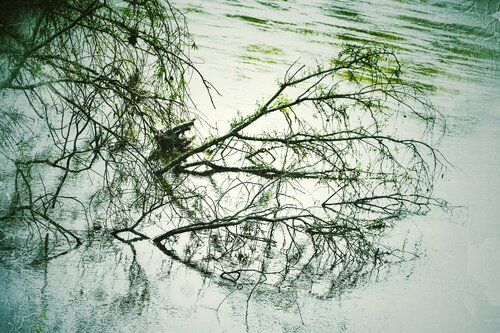 Inondation 2 von Bertrand Namur, Fotografie kaufen auf Singulart