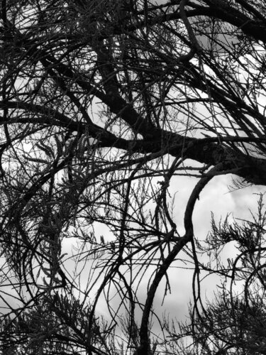 Graphisme di Bertrand Namur, Fotografia in vendita su Singulart