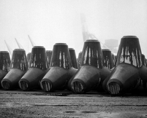 Weeping Tetrapod von Kevin Moore, Fotografie kaufen auf Singulart