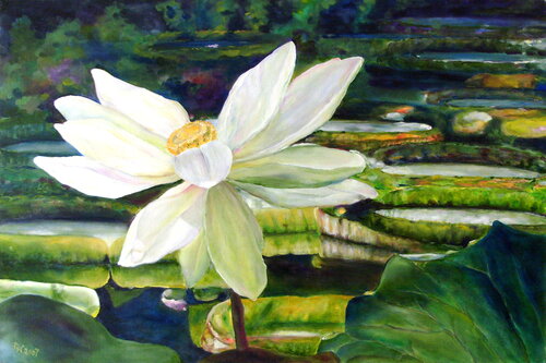 Dragonfly no.3 van Dagmar Wankowski, Schilderij te koop op Singulart
