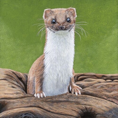 Frühlingsaufbruch van Isabeau Schmikowski, Schilderij te koop op Singulart