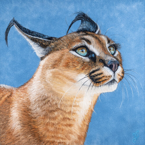 Karakal van Isabeau Schmikowski, Schilderij te koop op Singulart