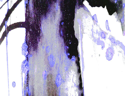 ENVOL DE L'ARBRE 1 von Marc Feld, Digital kaufen auf Singulart