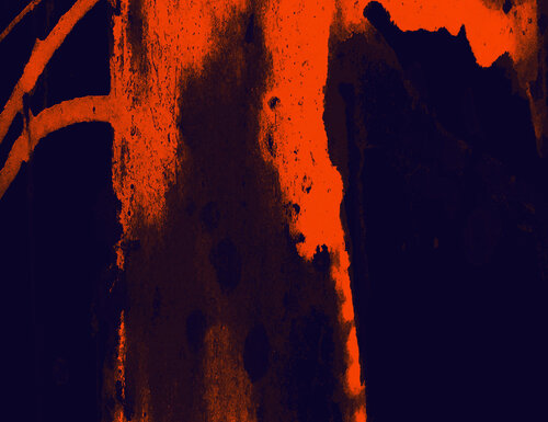 ENVOL DE L'ARBRE 3 by Marc Feld, Digital for Sale on Singulart