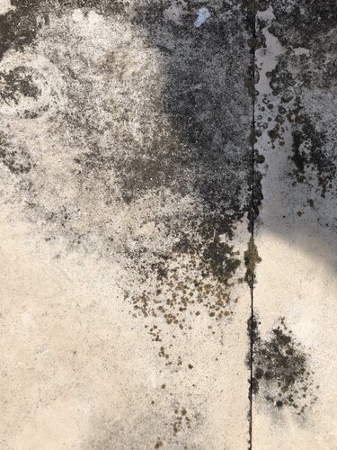 WALL 18 by Marc Feld, Photography for Sale on Singulart